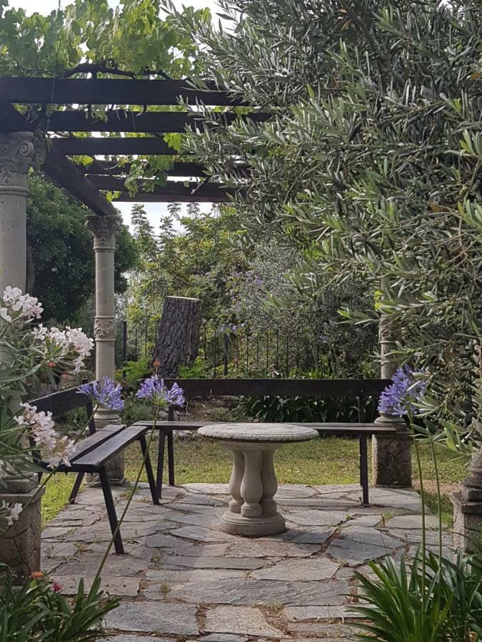 Casa Lavanda Cisano sul Neva Exterior foto