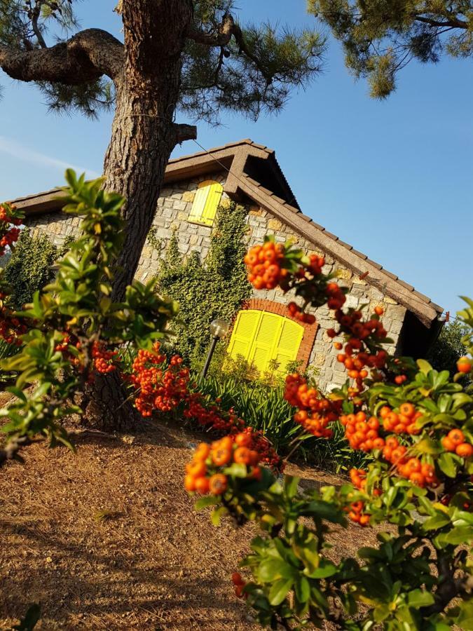 Casa Lavanda Cisano sul Neva Exterior foto